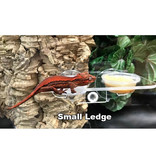 Pangea PANGEA Coupe de rebord en acrylique à succion pour gecko