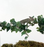 Pet-Tekk PET-TEKK PT-1412 Pont de vigne de la Jungle