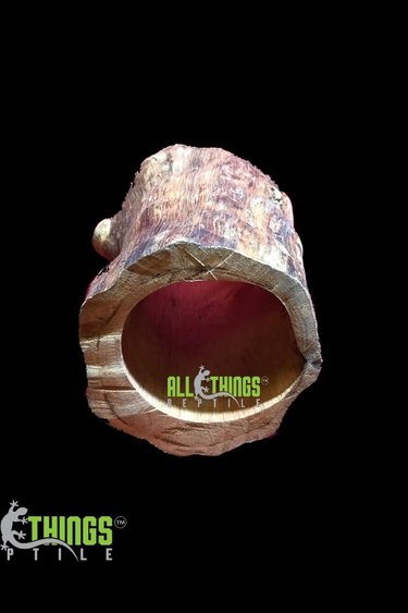 All things reptile ATR Cachette bûche naturelle