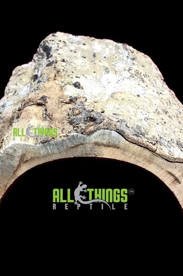 All things reptile ATR Demi-bûche naturelle