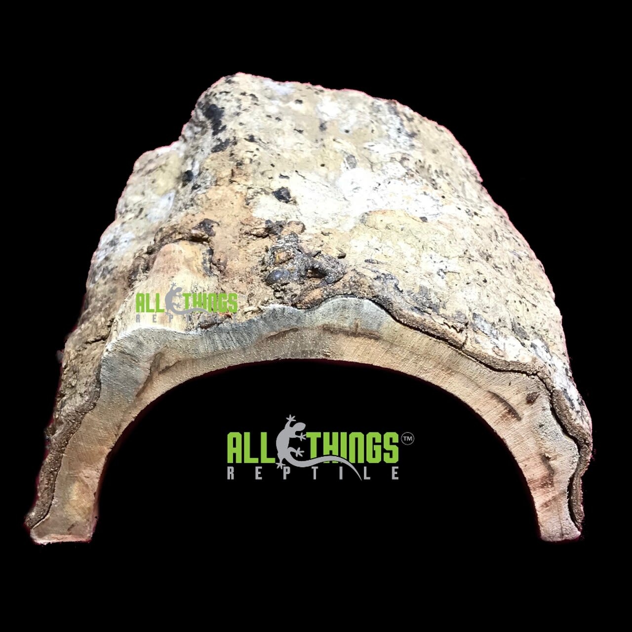 All things reptile Natural Half Log