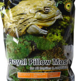 Galapagos GALAPAGOS Oreiller de mousse