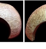 All things reptile ATR Cachette de noix de coco