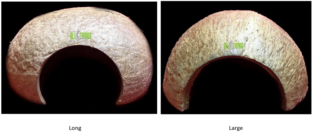 All things reptile ATR Cachette de noix de coco