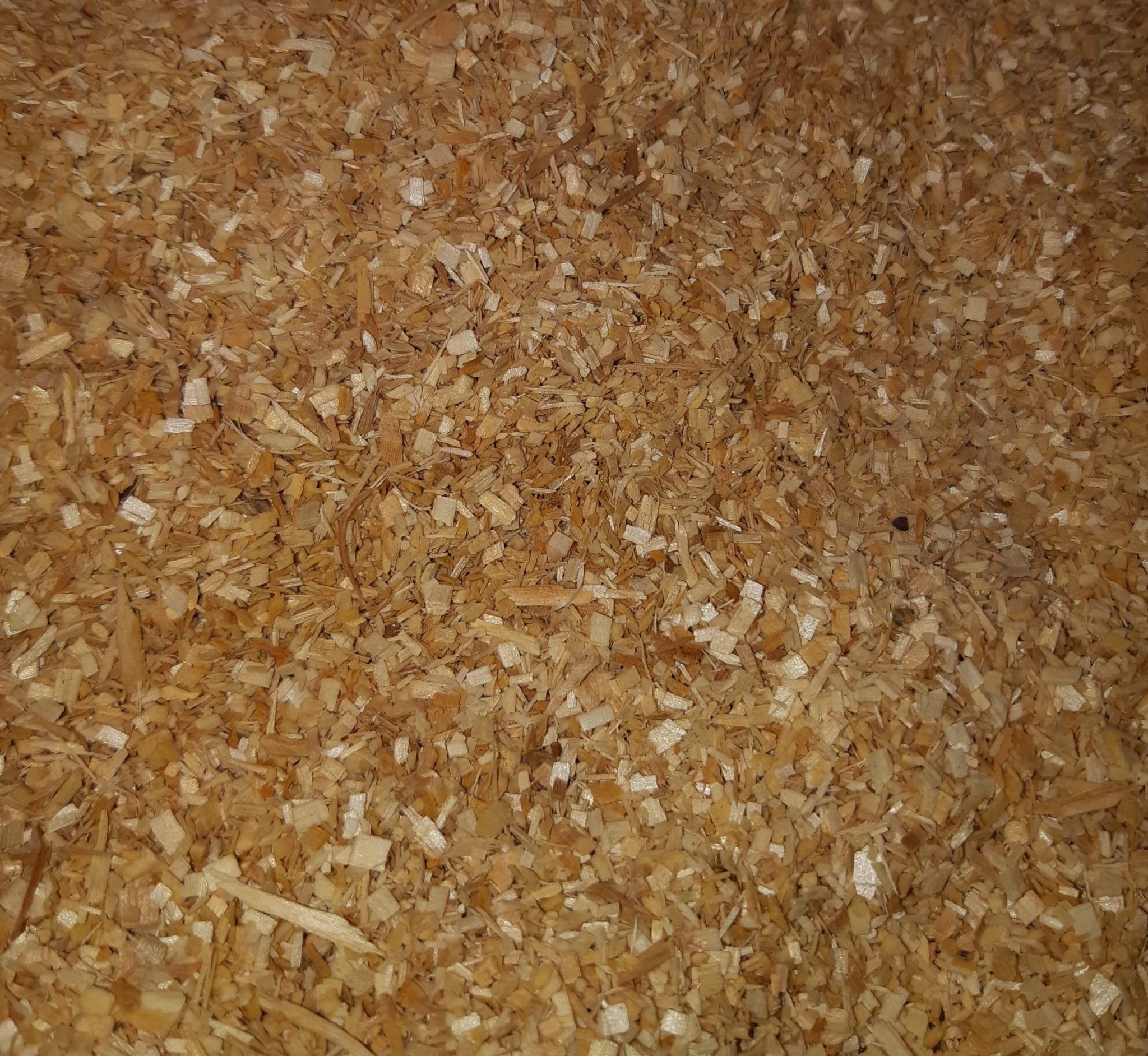 Magazoo 2.5 cu. ft. - Sani Ship bedding aspen