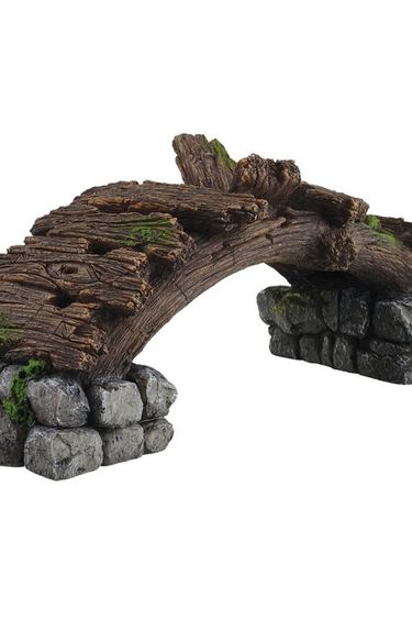 Treasures underwater Wooden appearance bridge