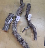 NewCal Pets NEWCAL Branche d'écorce épaisse