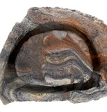 Pet-Tekk Fruit Fly Island