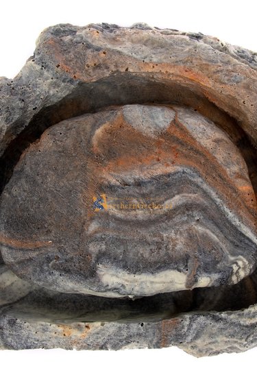 Pet-Tekk PET-TEKK PT-186 Île pour mouches à fruits non volantes