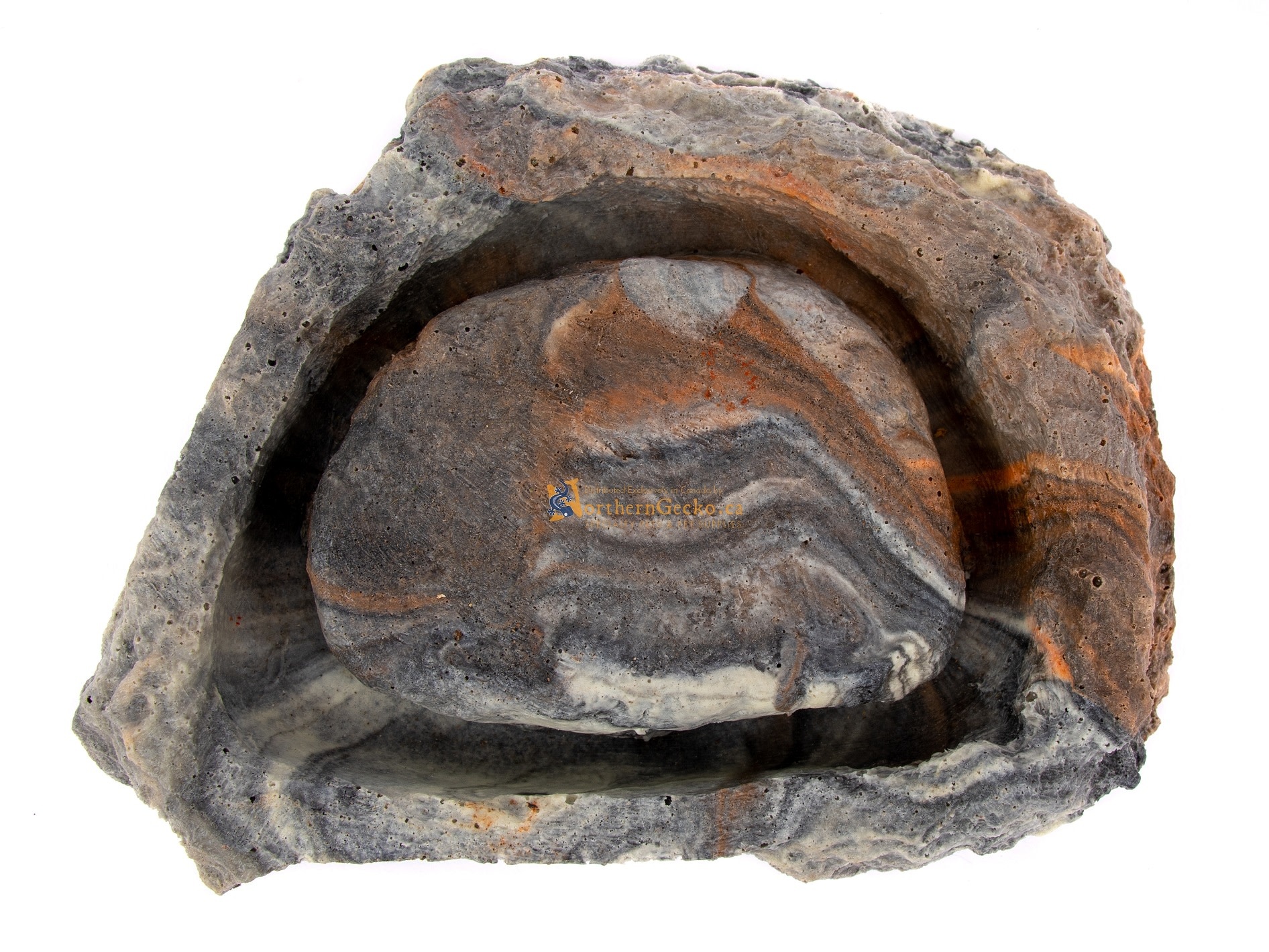 Pet-Tekk PET-TEKK PT-186 Île pour mouches à fruits non volantes