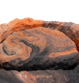 Pet-Tekk PET-TEKK PT-186 Île pour mouches à fruits non volantes