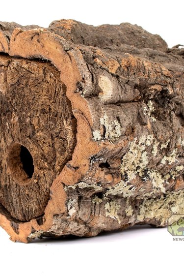 NewCal Pets NEWCAL NC-CBH Nid d'oiseau en écorce