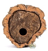 NewCal Pets NEWCAL NC-CBH Nid d'oiseau en écorce