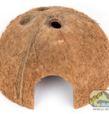 NewCal Pets NEWCAL NC-CCH-1 Cachette noix de coco
