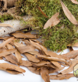 NewCal Pets Willow Oak Leaf Litter