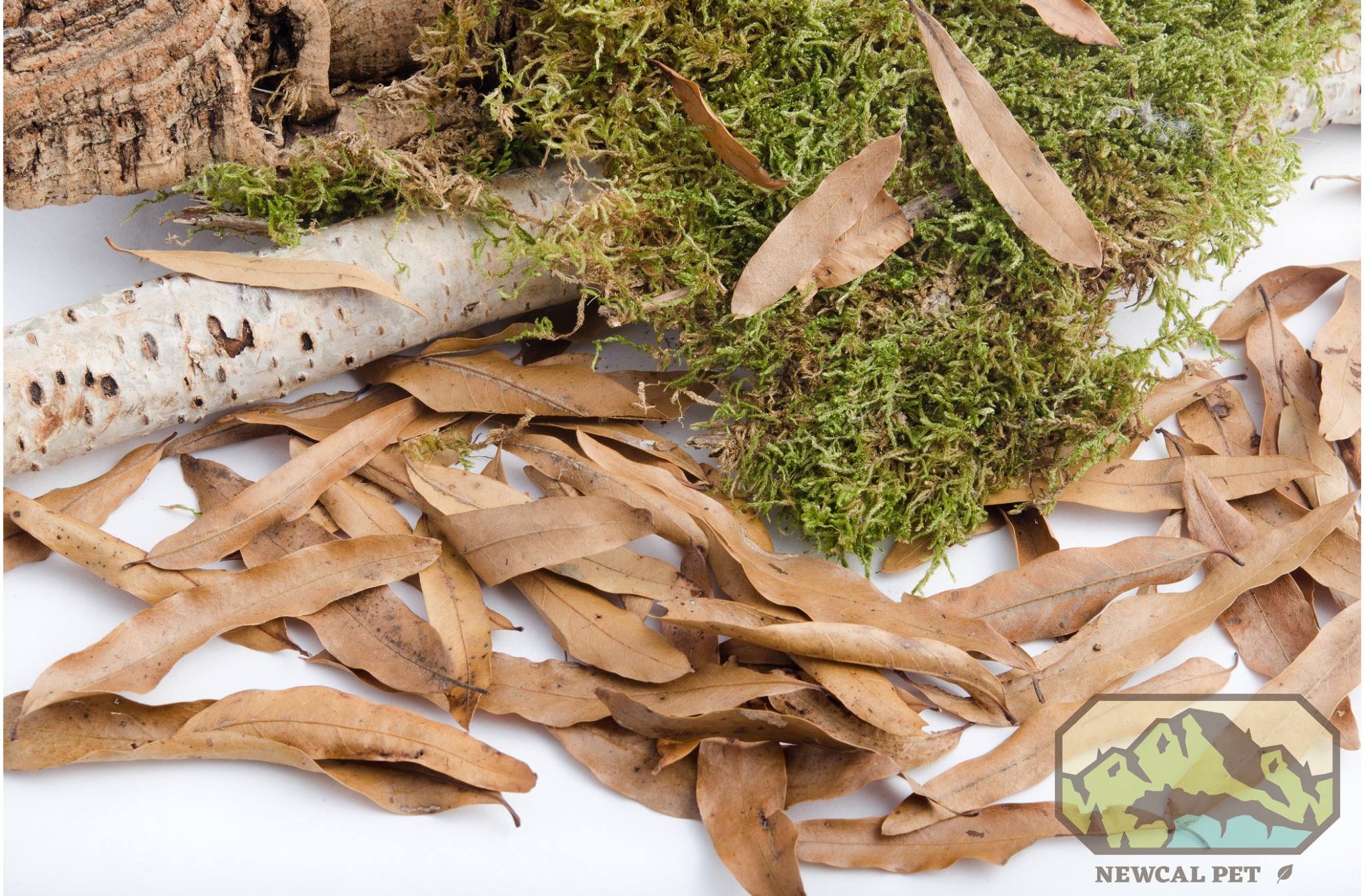 NewCal Pets Willow Oak Leaf Litter