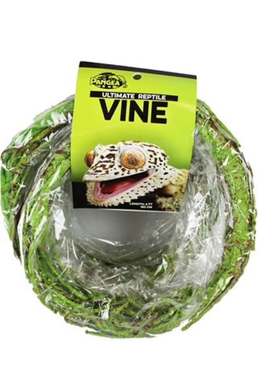 Pangea PANGEA WUV-G Vigne pour reptiles avec branche verte