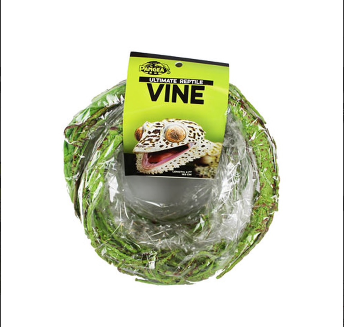 Pangea PANGEA WUV-G Vigne pour reptiles avec branche verte