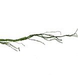 Pangea Vigne pour reptiles avec branche verte  - Ultimate Reptile Vine with Branches - Green