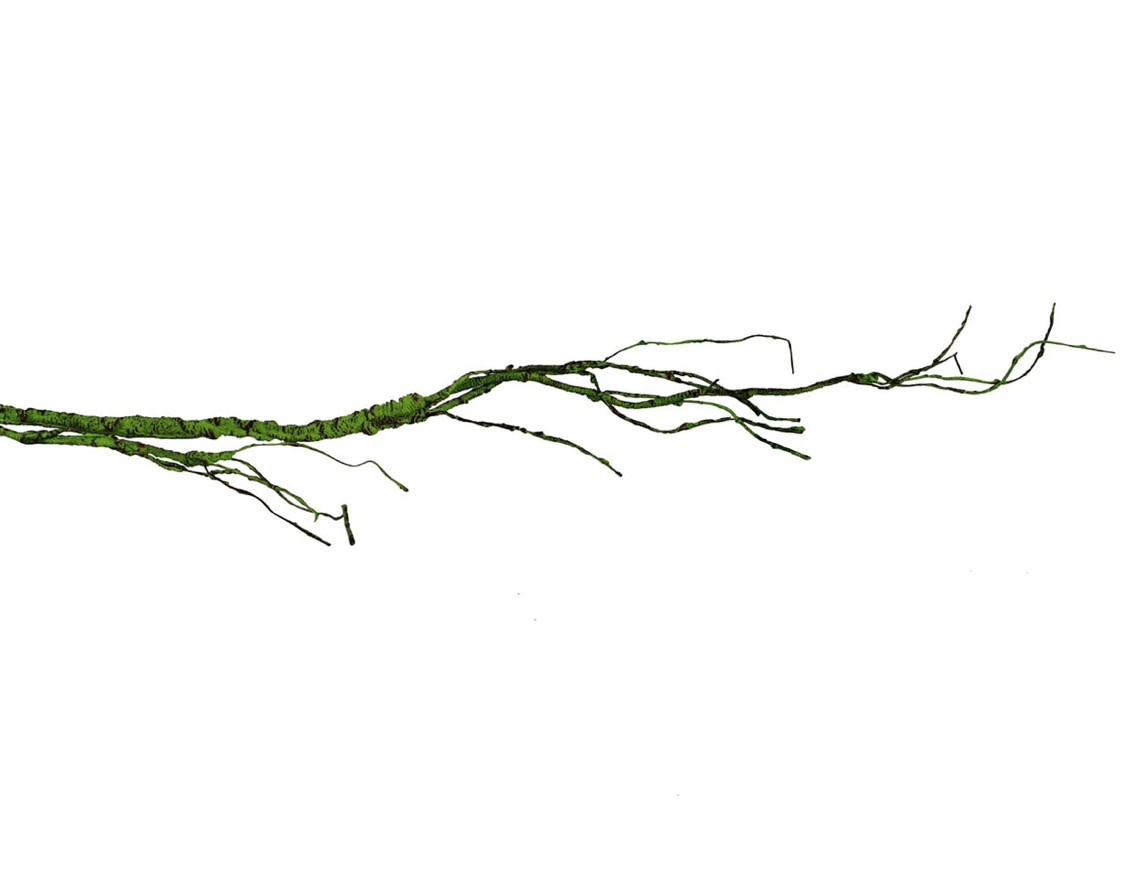 Pangea PANGEA WUV-G Vigne pour reptiles avec branche verte