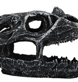 Pangea PANGEA NS-19 Grotte crâne de dinosaure