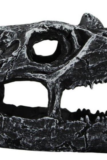 Pangea Dinosaur Skull Cave