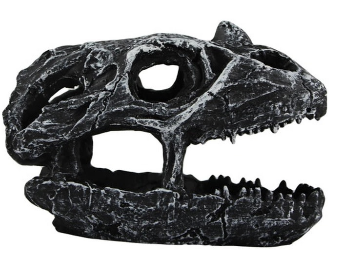 Pangea Dinosaur Skull Cave