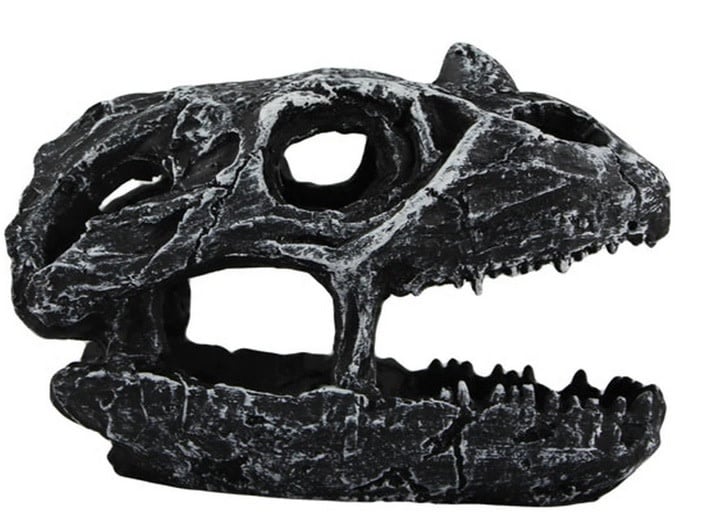 Pangea Grotte crâne de dinosaure - Dinosaur Skull Cave