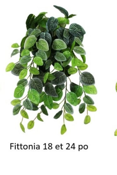 Pangea PANGEA Buisson suspendu