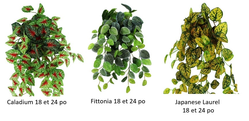 Pangea PANGEA Buisson suspendu