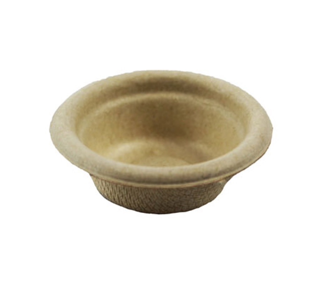 Pangea PANGEA SPC-100 Petit contenant .5 oz biodégradable pour gecko pq de 100