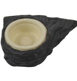 Pangea PANGEA SPC-100 Petit contenant .5 oz biodégradable pour gecko pq de 100