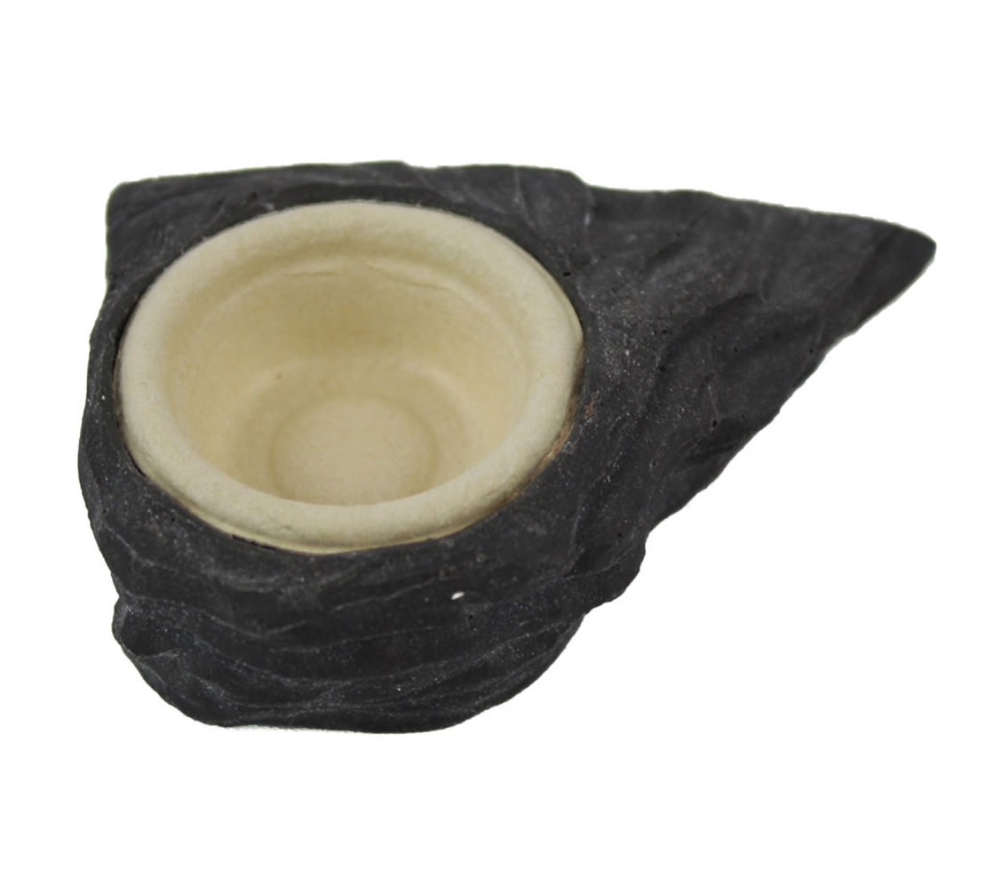 Pangea PANGEA SPC-100 Petit contenant .5 oz biodégradable pour gecko pq de 100