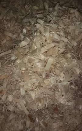 Magazoo NEPCO NG-NPAS8 Tremble déchiqueté