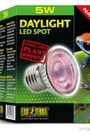 EXO TERRA PT2342 Ampoule à DEL diurne Nano 5W