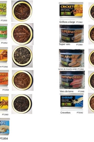 Exoterra EXO TERRA Nourriture en conserve Exo Terra