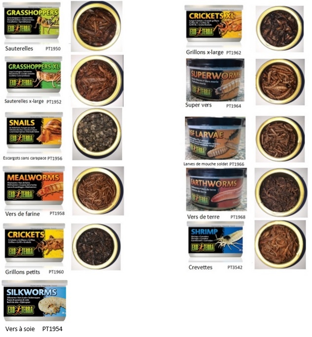 Exoterra EXO TERRA Nourriture en conserve Exo Terra