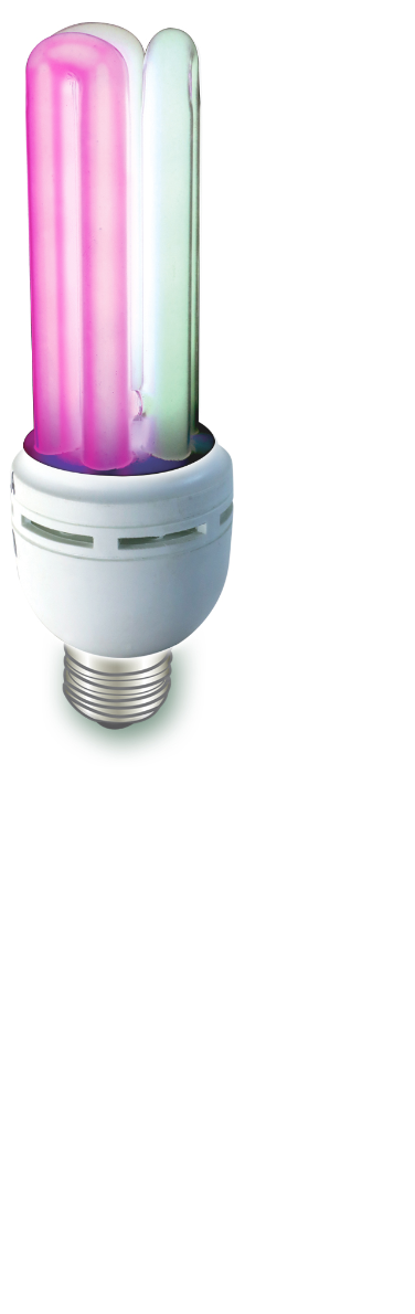 Zoomed ZOO MED Z973 Lampe 3-en-1 Paludarium