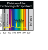 Zoomed ZOO MED Z973 Lampe 3-en-1 Paludarium