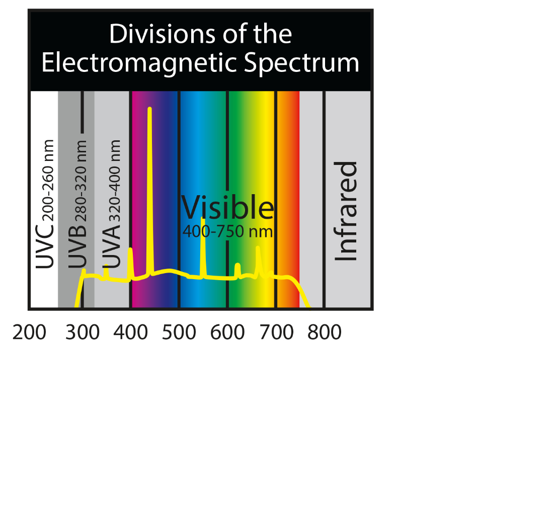 Zoomed ZOO MED Z973 Lampe 3-en-1 Paludarium