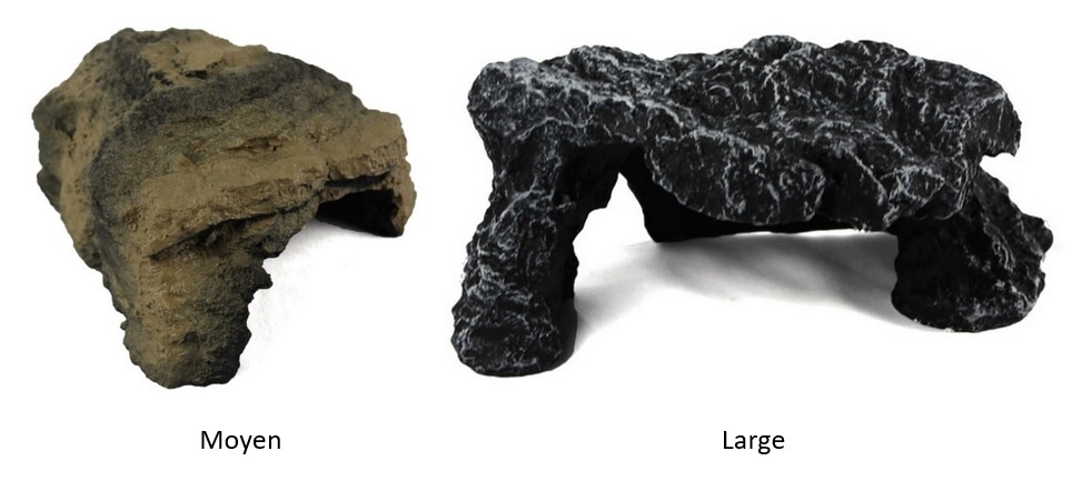 Pangea PANGEA Grotte de roche