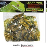 Pangea PANGEA Vigne feuillue Pangea 6'