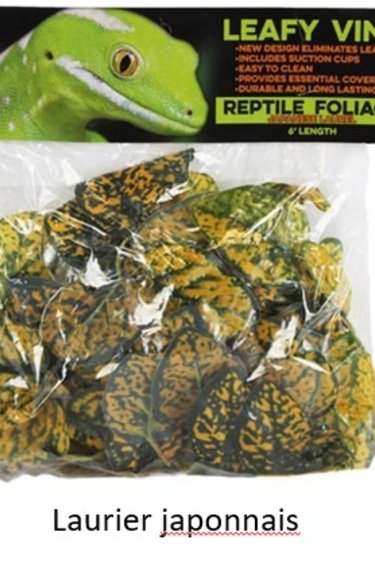 Branche de Coco Troncho pliable - Bendable Coco Troncho Branch - Magazoo,  l'Univers des Reptiles