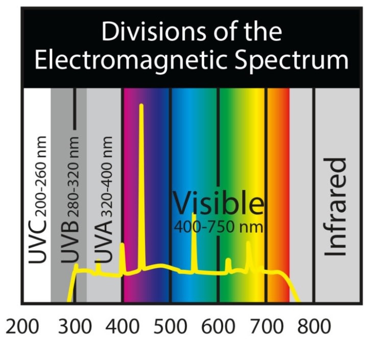 Zoomed ZOO MED Z973 Lampe 3-en-1 Paludarium
