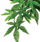 Exoterra Silk abuliton plant