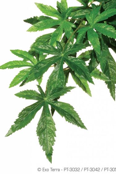 Exoterra EXO TERRA Plante abuliton en soie