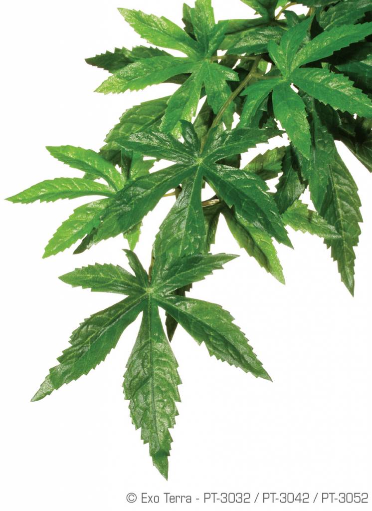 Exoterra EXO TERRA Plante abuliton en soie