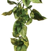 Exoterra EXO TERRA Plante amapallo