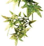 Exoterra EXO TERRA Plante croton