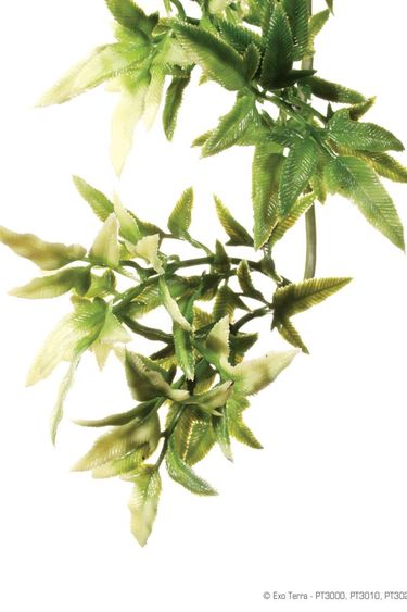 Exoterra EXO TERRA Plante croton